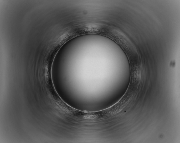 X0000098100700200804041244
