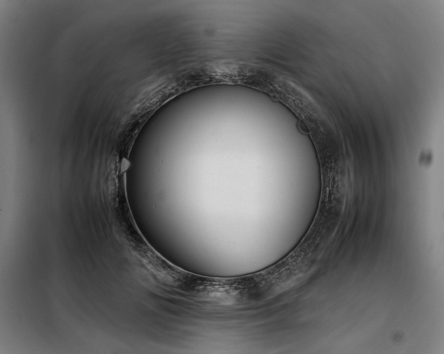 X0000098100702200804041244