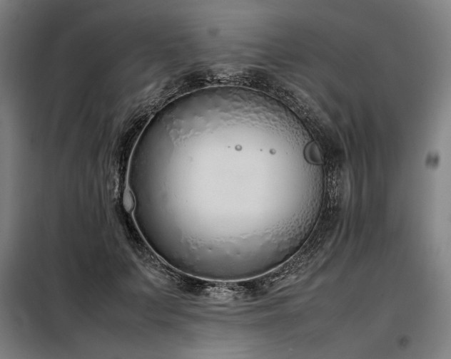 X0000098100703200804041244