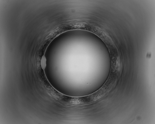 X0000098100704200804041244