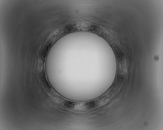 X0000098100705200804041244