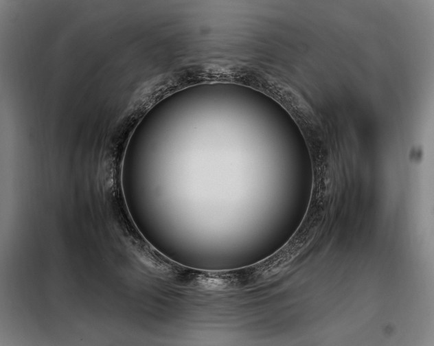 X0000098100706200804041244