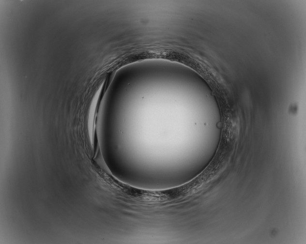 X0000098100707200804041244