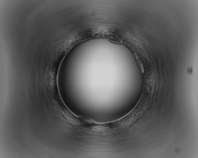 X0000098100708200804041244