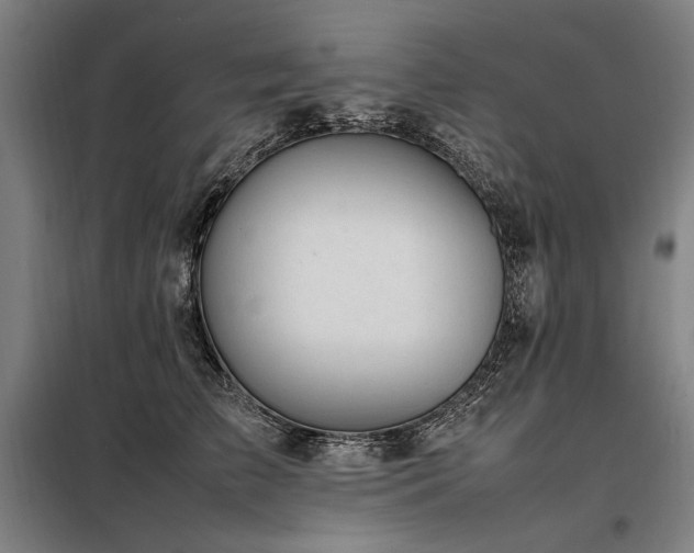 X0000098100709200804041244
