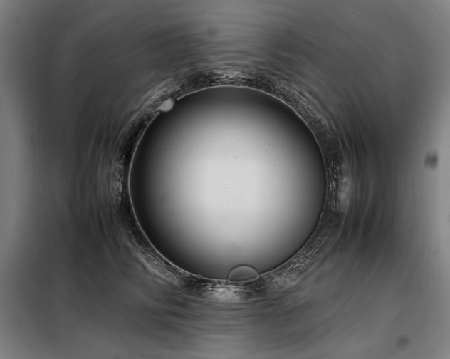 X0000098100710200804041244