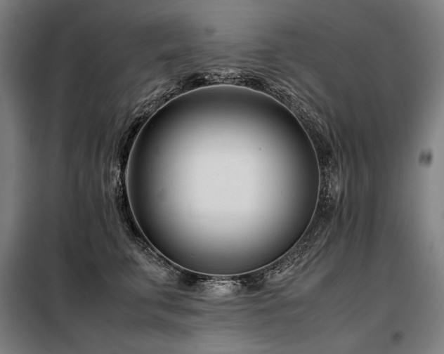 X0000098100711200804041244
