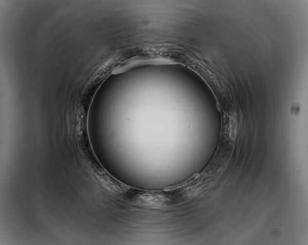 X0000098100712200804041244