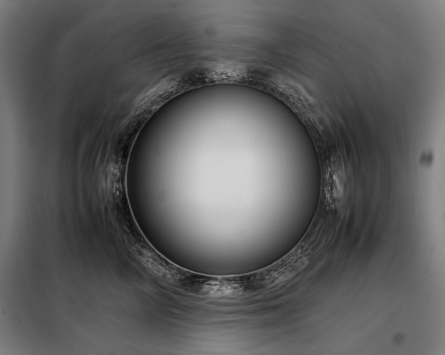 X0000098100714200804041244