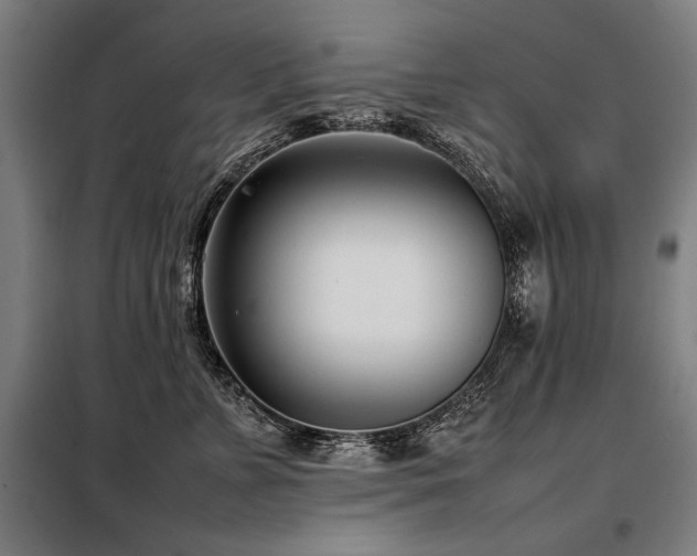 X0000098100715200804041244