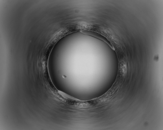 X0000098100716200804041244