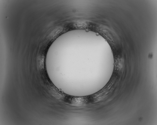 X0000098100717200804041244