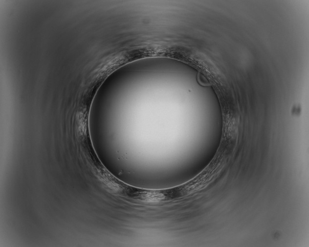 X0000098100719200804041244