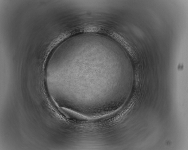 X0000098100721200804041243