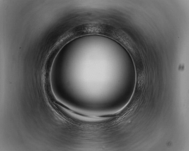 X0000098100722200804041243