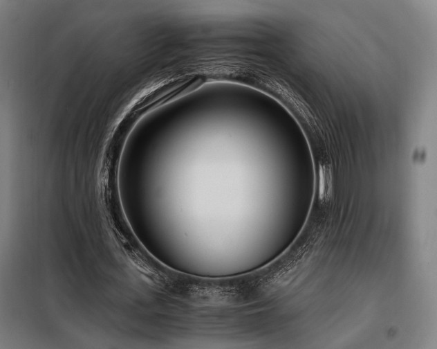X0000098100723200804041243
