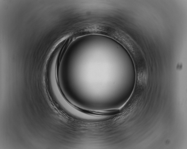 X0000098100724200804041243