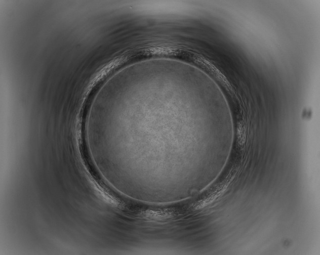 X0000098100725200804041243