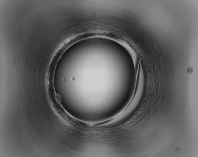 X0000098100726200804041243
