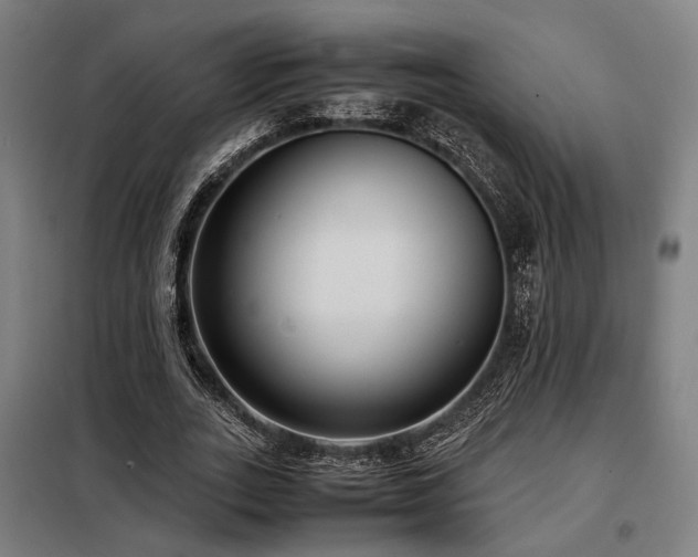 X0000098100727200804041243