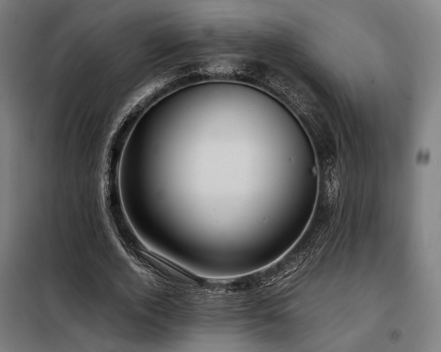 X0000098100728200804041243