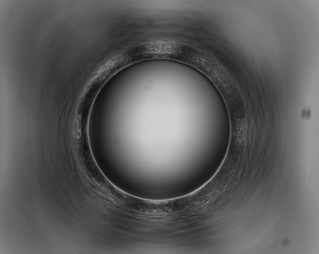 X0000098100731200804041243