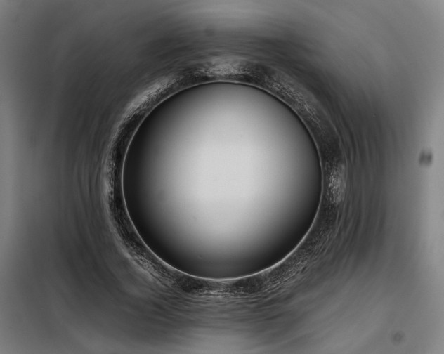 X0000098100732200804041243