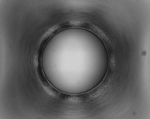 X0000098100734200804041243