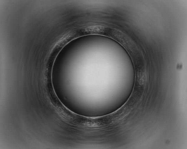 X0000098100735200804041243