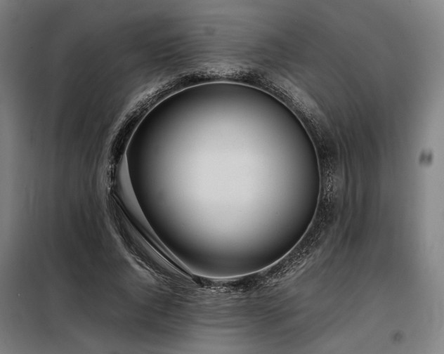 X0000098100736200804041243