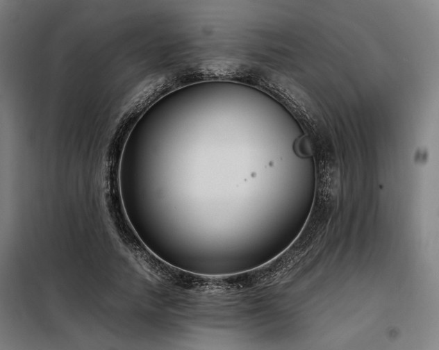 X0000098100738200804041243