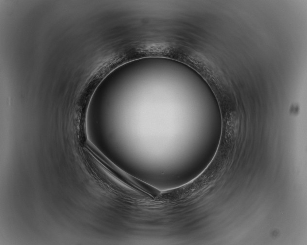 X0000098100739200804041243