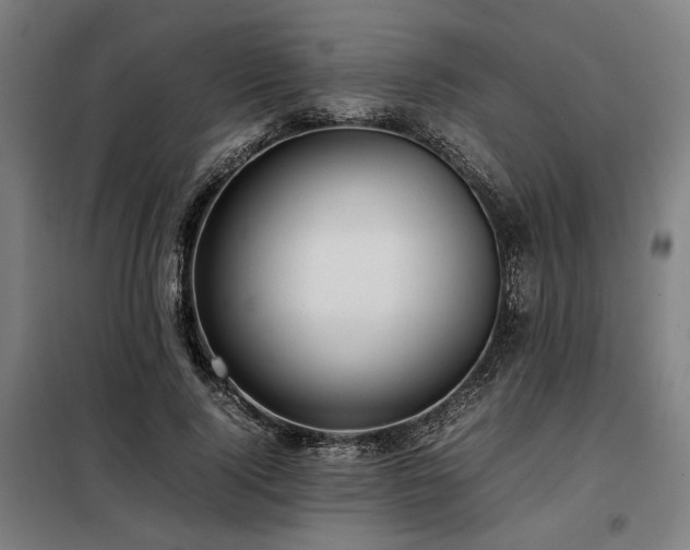 X0000098100740200804041243