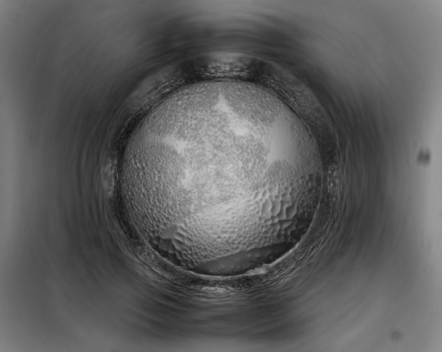 X0000098100741200804041243