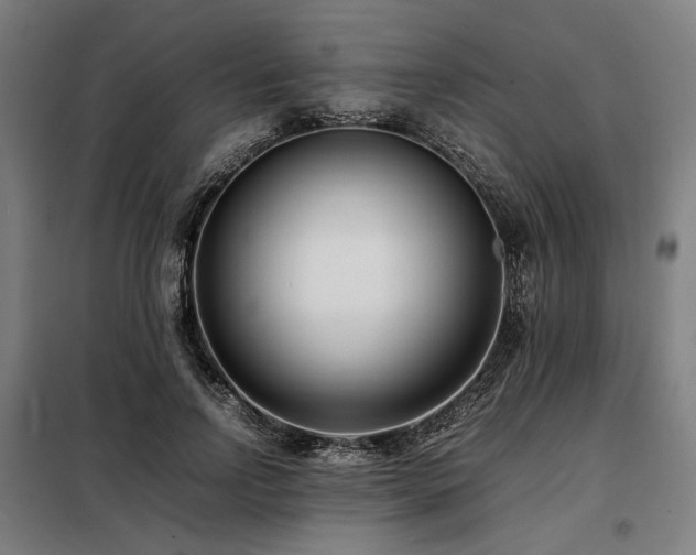 X0000098100742200804041243