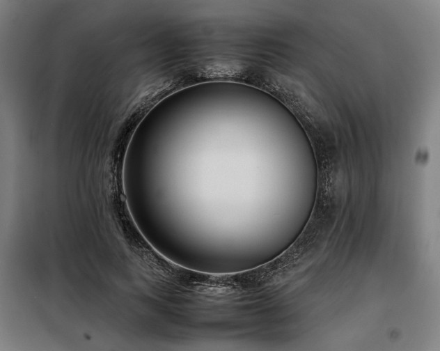 X0000098100743200804041243