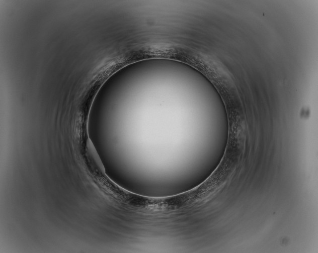 X0000098100744200804041243