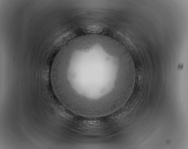X0000098100745200804041243