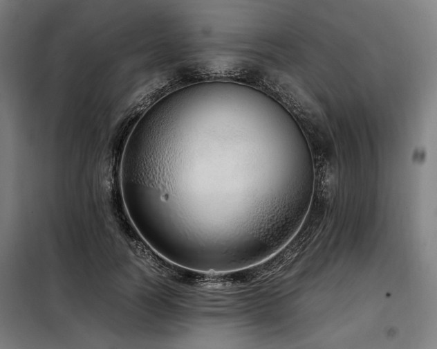 X0000098100746200804041243