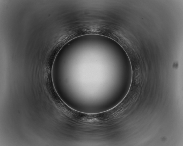 X0000098100747200804041243