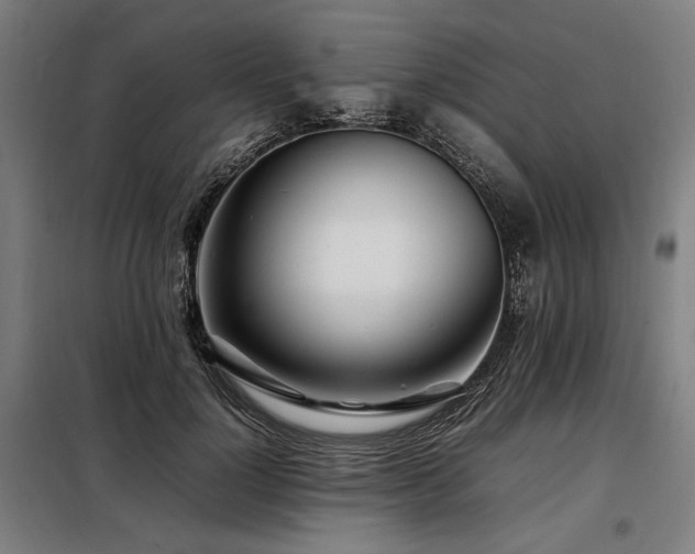 X0000098100748200804041243
