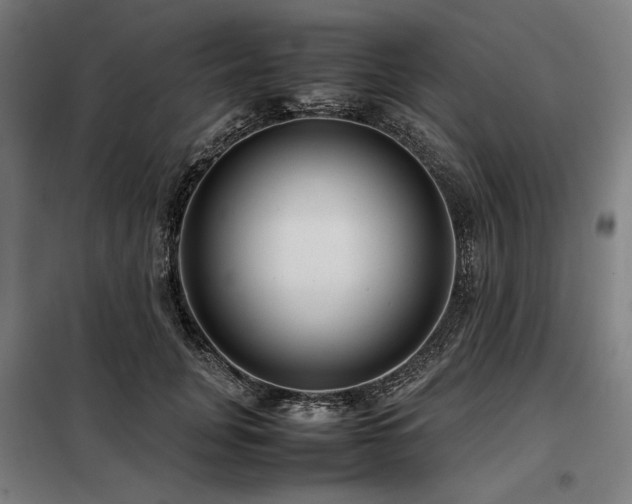 X0000098100751200804041243