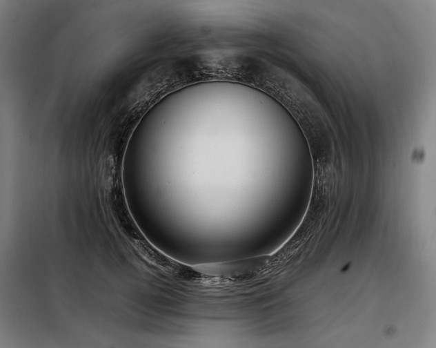 X0000098100752200804041243