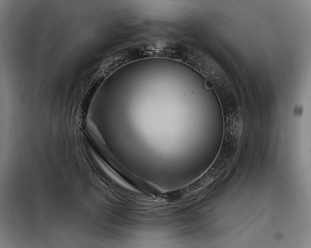 X0000098100754200804041243
