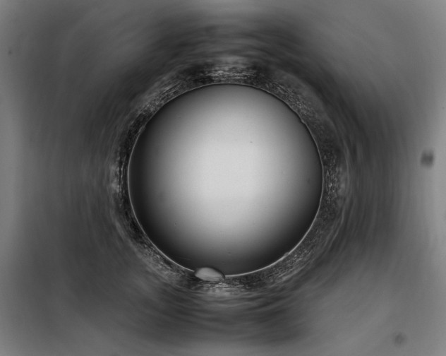 X0000098100755200804041243