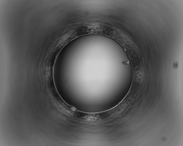 X0000098100756200804041243