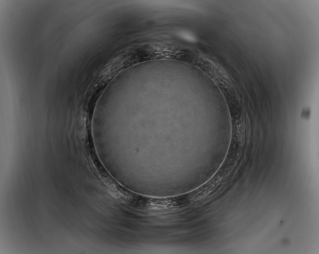 X0000098100757200804041243