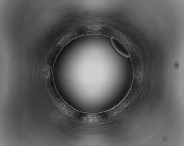X0000098100758200804041243