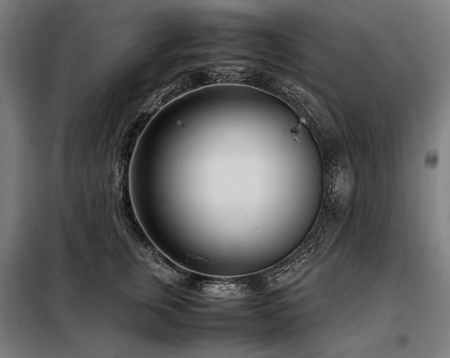 X0000098100759200804041243