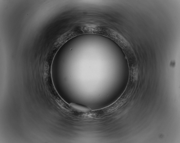 X0000098100760200804041244